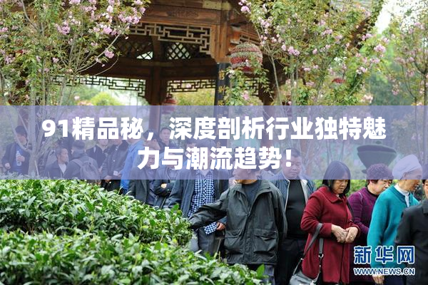 91精品秘，深度剖析行业独特魅力与潮流趋势！