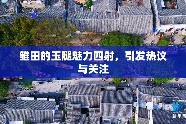 雏田的玉腿魅力四射，引发热议与关注