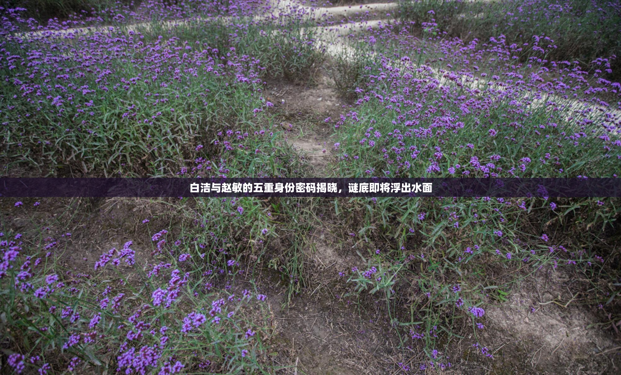白洁与赵敏的五重身份密码揭晓，谜底即将浮出水面