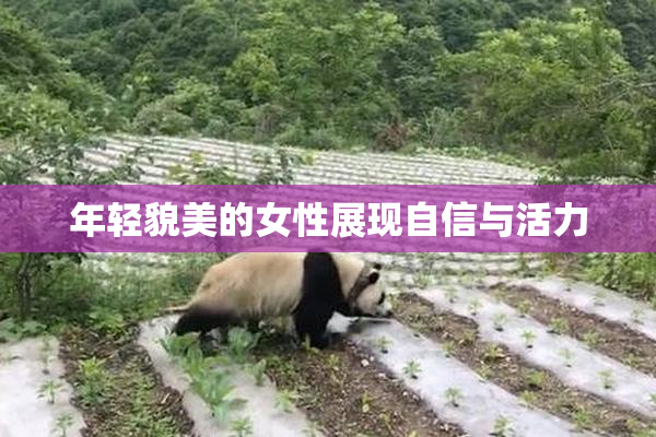 年轻貌美的女性展现自信与活力