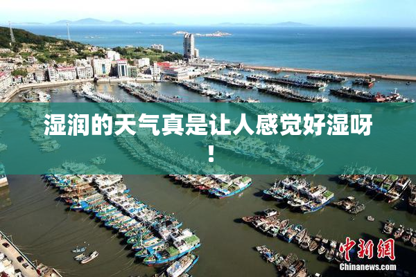 湿润的天气真是让人感觉好湿呀！