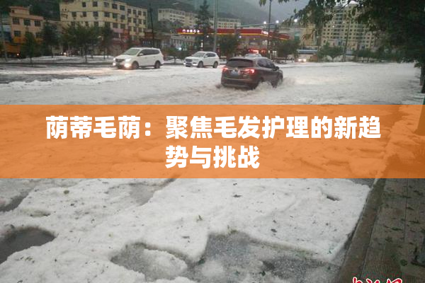 荫蒂毛荫：聚焦毛发护理的新趋势与挑战