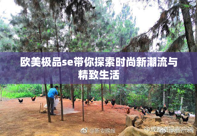 欧美极品se带你探索时尚新潮流与精致生活