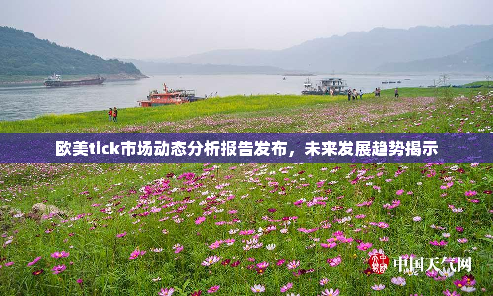 欧美tick市场动态分析报告发布，未来发展趋势揭示