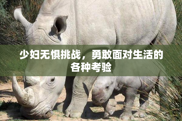 少妇无惧挑战，勇敢面对生活的各种考验