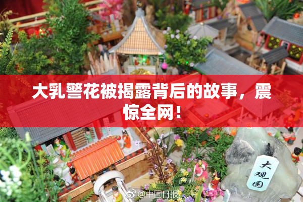 大乳警花被揭露背后的故事，震惊全网！