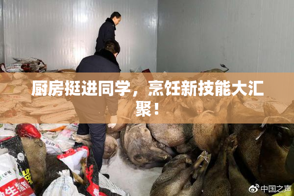 厨房挺进同学，烹饪新技能大汇聚！