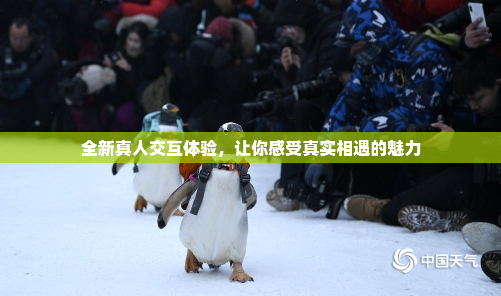 全新真人交互体验，让你感受真实相遇的魅力