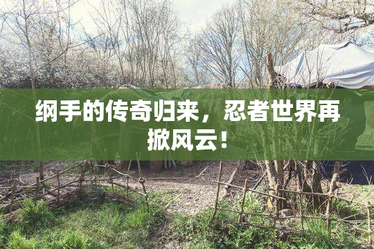 纲手的传奇归来，忍者世界再掀风云！
