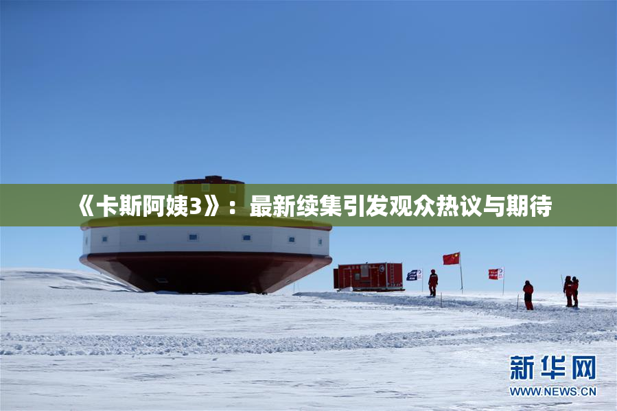 《卡斯阿姨3》：最新续集引发观众热议与期待
