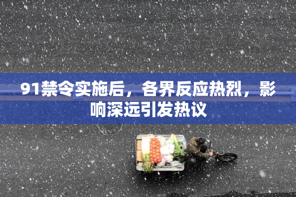 91禁令实施后，各界反应热烈，影响深远引发热议