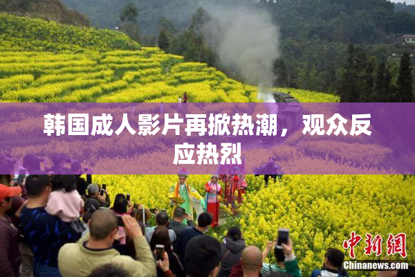 韩国成人影片再掀热潮，观众反应热烈