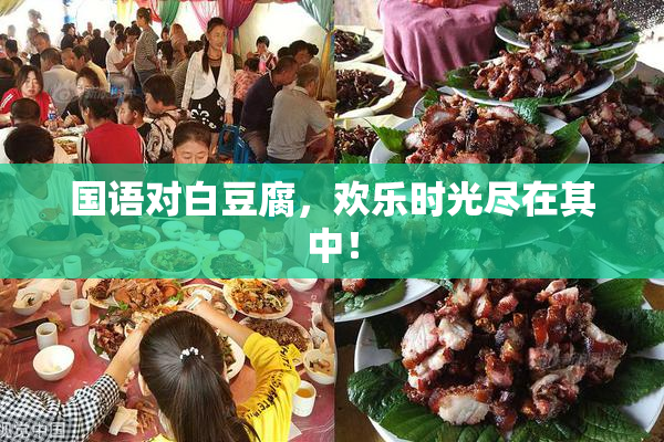 国语对白豆腐，欢乐时光尽在其中！