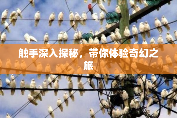 触手深入探秘，带你体验奇幻之旅
