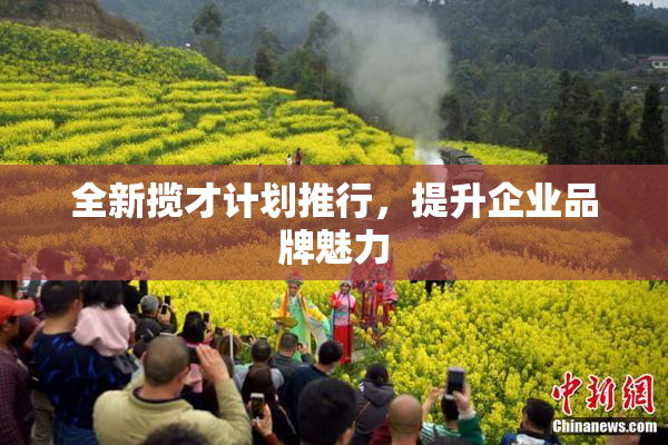 全新揽才计划推行，提升企业品牌魅力