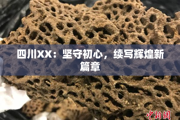 四川XX：坚守初心，续写辉煌新篇章