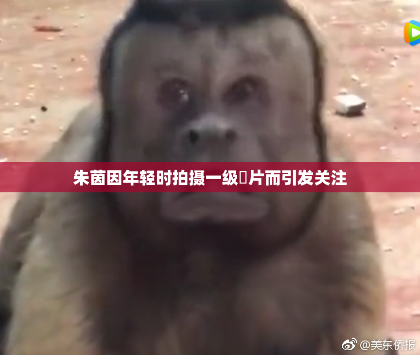 朱茵因年轻时拍摄一级婬片而引发关注