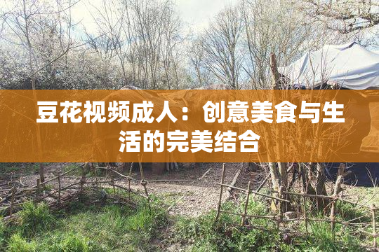 豆花视频成人：创意美食与生活的完美结合