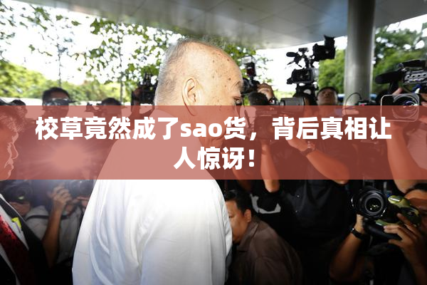 校草竟然成了sao货，背后真相让人惊讶！