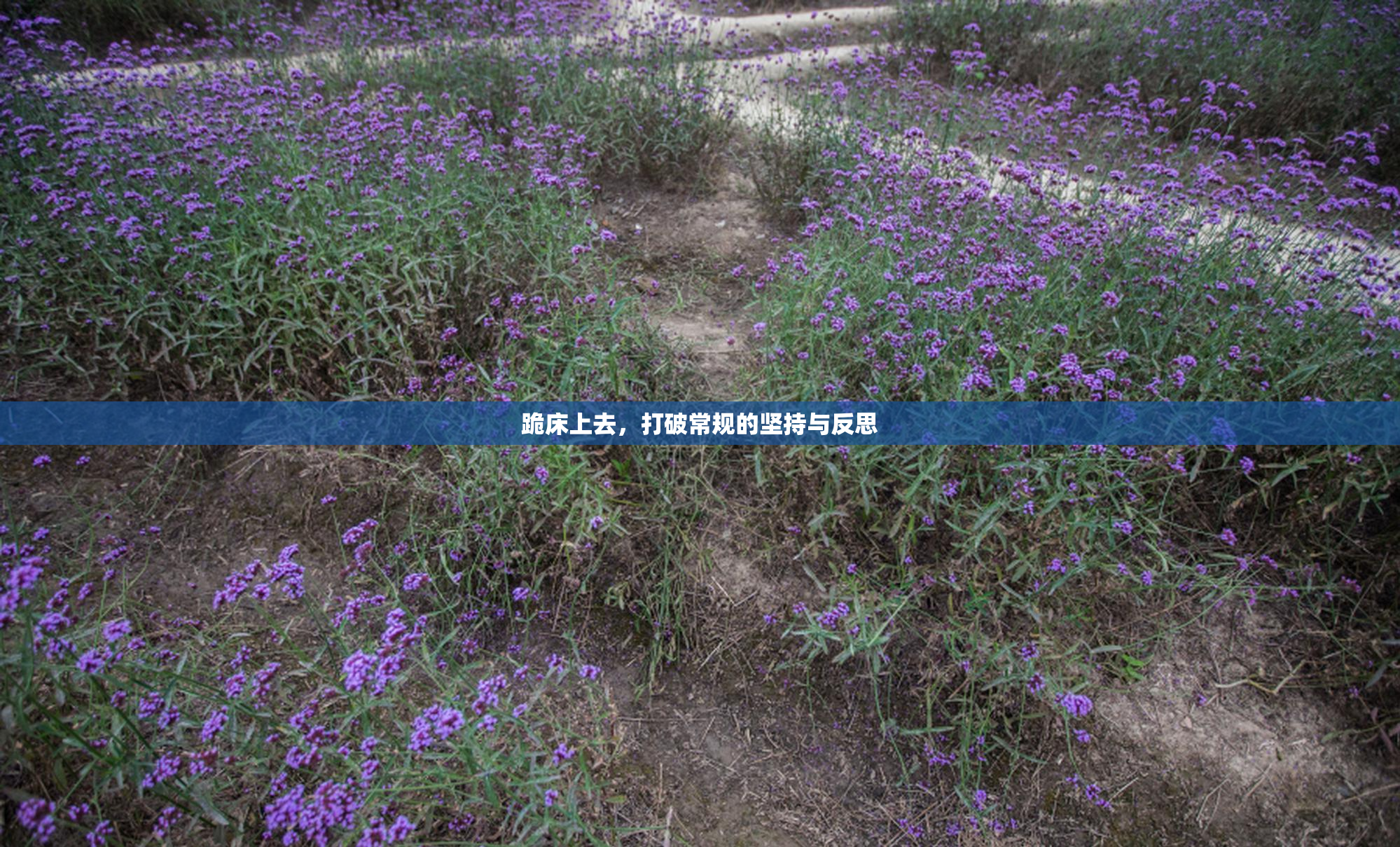 跪床上去，打破常规的坚持与反思