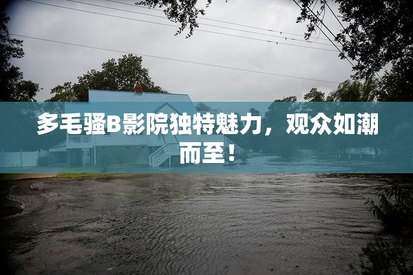 多毛骚B影院独特魅力，观众如潮而至！