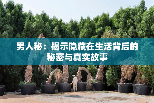 男人秘：揭示隐藏在生活背后的秘密与真实故事