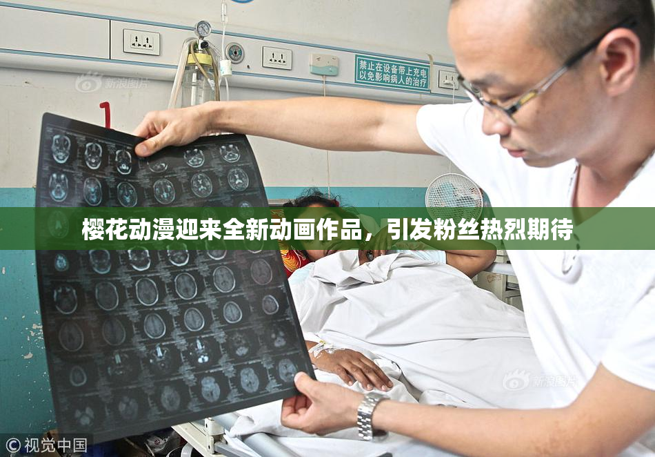 樱花动漫迎来全新动画作品，引发粉丝热烈期待