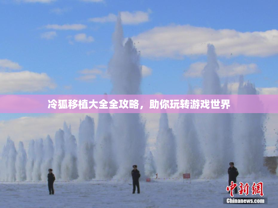 冷狐移植大全全攻略，助你玩转游戏世界