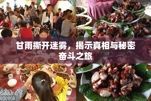 甘雨撕开迷雾，揭示真相与秘密奋斗之旅