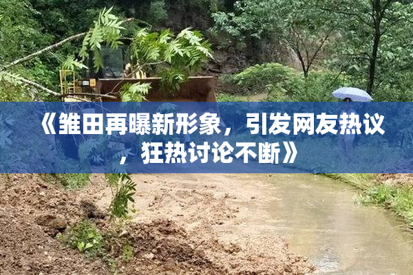 《雏田再曝新形象，引发网友热议，狂热讨论不断》