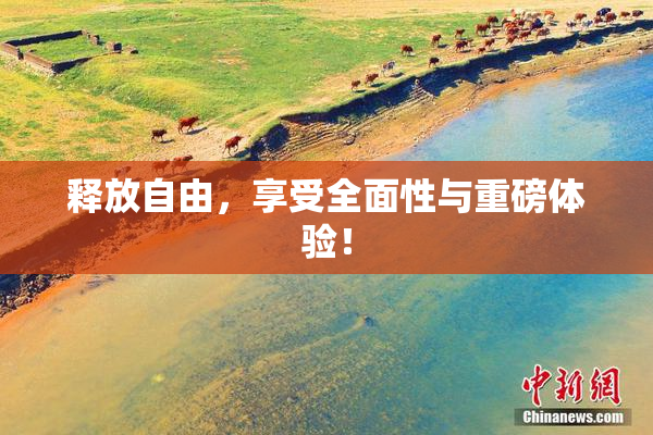 释放自由，享受全面性与重磅体验！