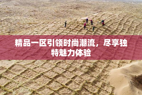 精品一区引领时尚潮流，尽享独特魅力体验