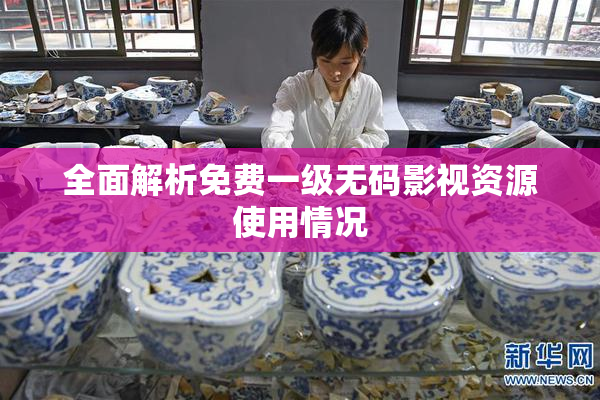 全面解析免费一级无码影视资源使用情况
