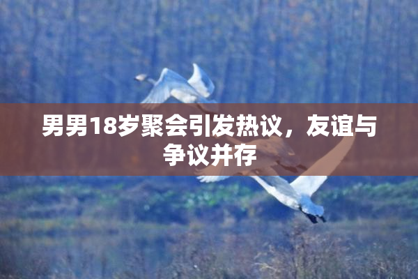男男18岁聚会引发热议，友谊与争议并存