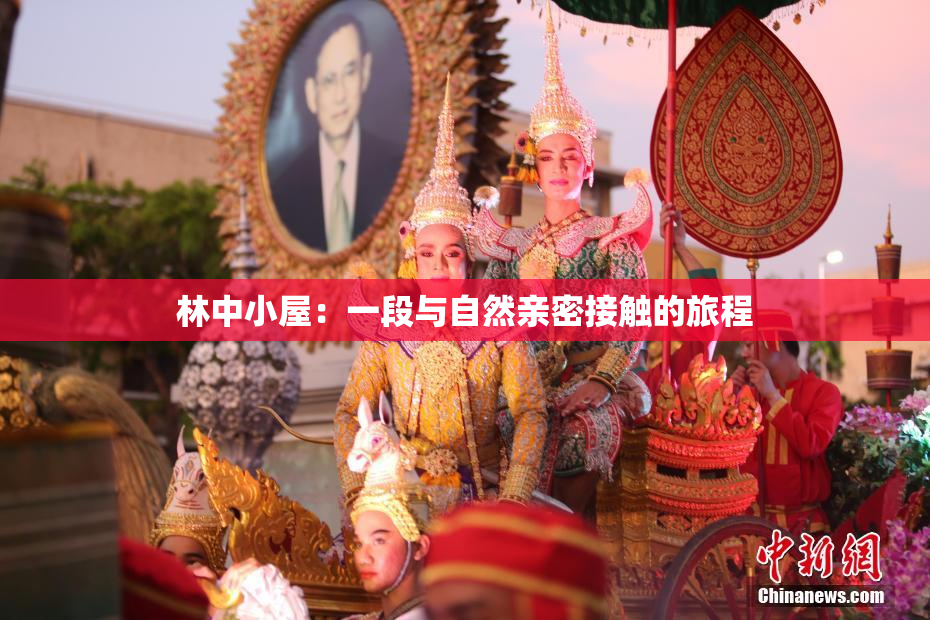 林中小屋：一段与自然亲密接触的旅程