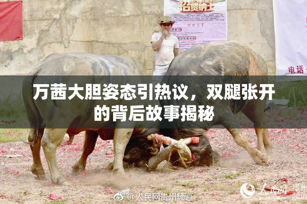 万茜大胆姿态引热议，双腿张开的背后故事揭秘