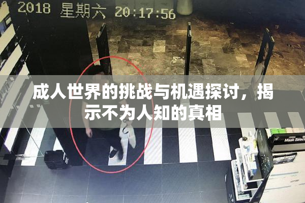成人世界的挑战与机遇探讨，揭示不为人知的真相