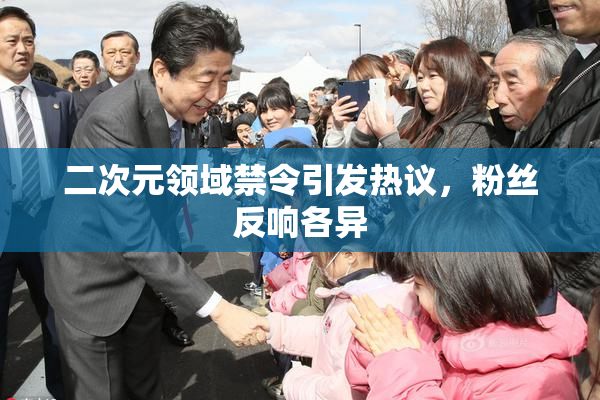 二次元领域禁令引发热议，粉丝反响各异