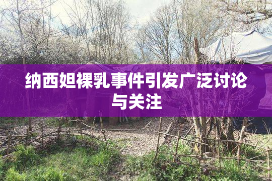纳西妲裸乳事件引发广泛讨论与关注