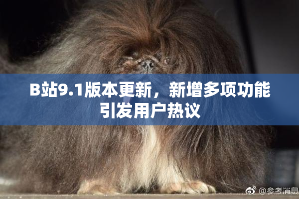 B站9.1版本更新，新增多项功能引发用户热议
