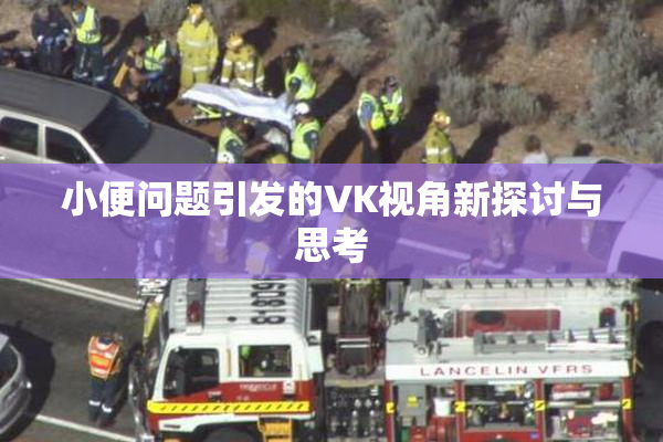 小便问题引发的VK视角新探讨与思考