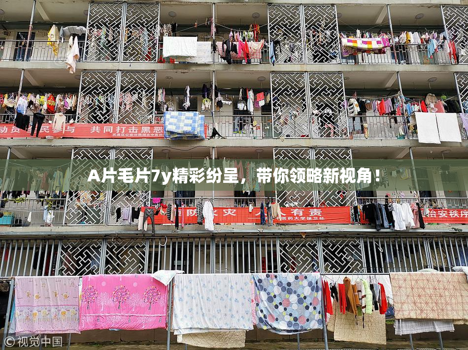 A片毛片7y精彩纷呈，带你领略新视角！