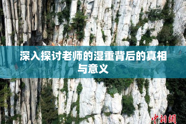 深入探讨老师的湿重背后的真相与意义