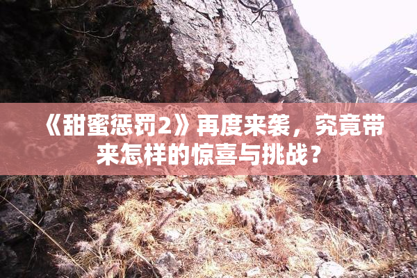 《甜蜜惩罚2》再度来袭，究竟带来怎样的惊喜与挑战？