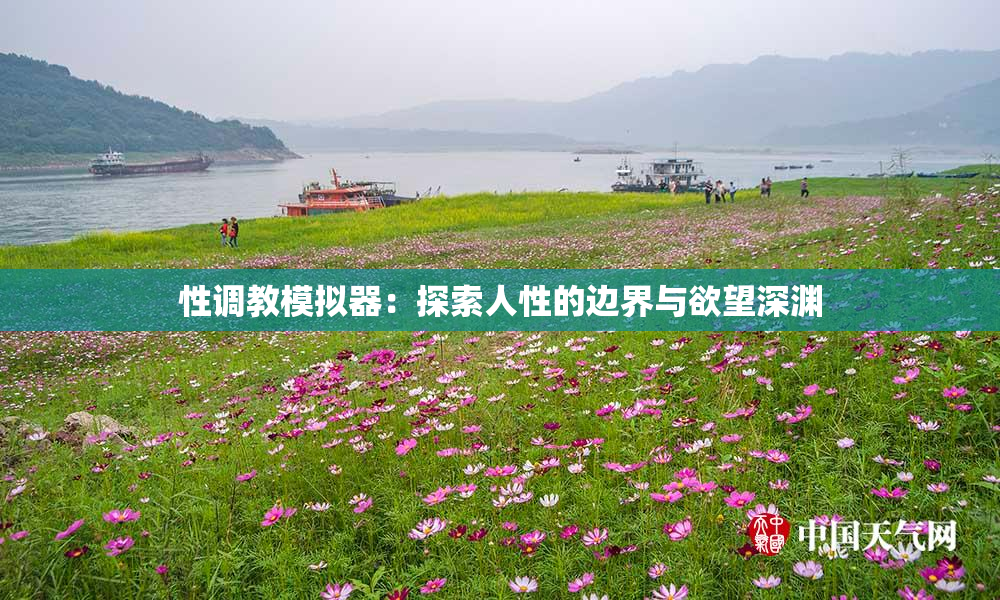 性调教模拟器：探索人性的边界与欲望深渊