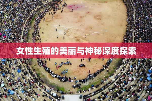 女性生殖的美丽与神秘深度探索