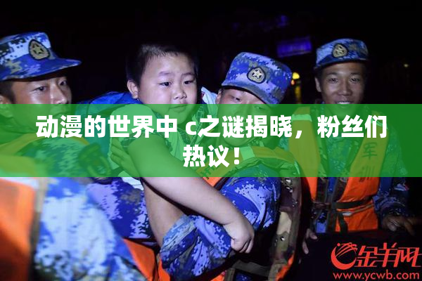 动漫的世界中 c之谜揭晓，粉丝们热议！