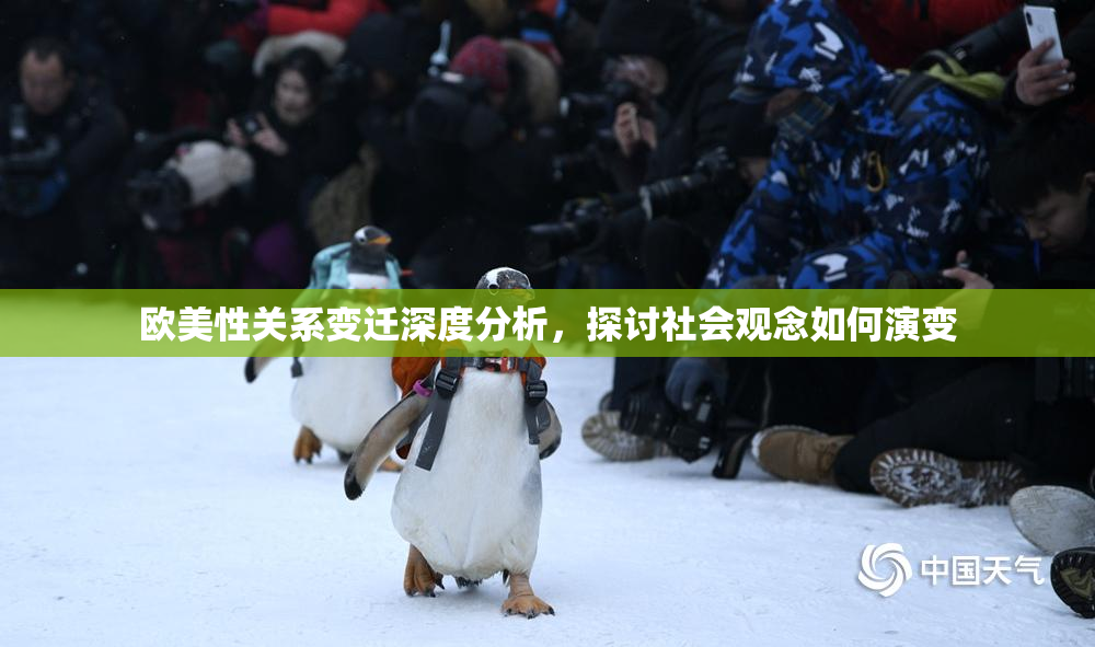 欧美性关系变迁深度分析，探讨社会观念如何演变