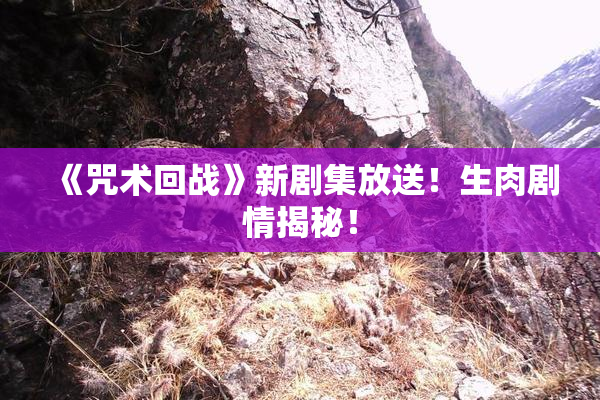 《咒术回战》新剧集放送！生肉剧情揭秘！