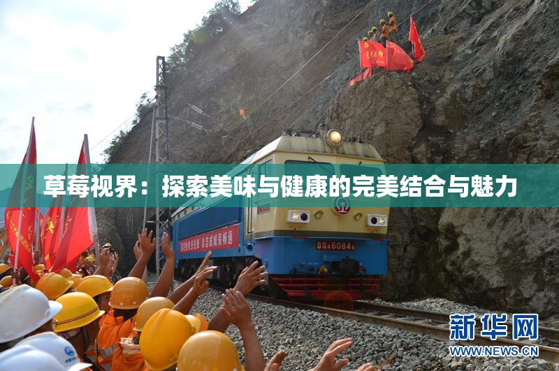 草莓视界：探索美味与健康的完美结合与魅力